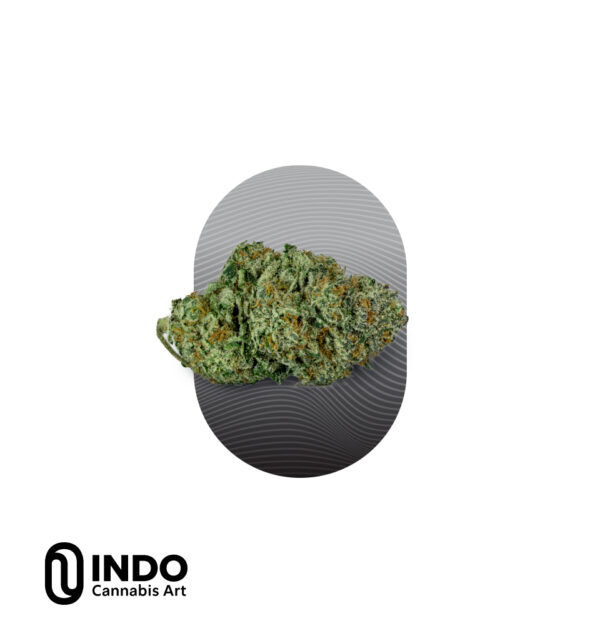 ג'י פי - GP היברידי T20C4 אינדו INDO טריכום TRICHOME פנופארם קנאביס הזמנות פרח