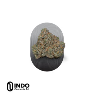 אר אס 11 - RS11 אינדיקה T20C4 אינדו INDO טריכום TRICHOME פנופארם המזנות קנאביס פרח