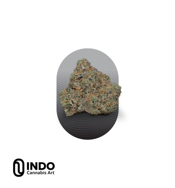 אר אס 11 - RS11 אינדיקה T20C4 אינדו INDO טריכום TRICHOME פנופארם המזנות קנאביס פרח