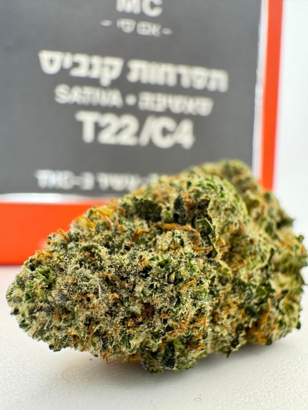 אם סי - MC סאטיבה T22C4 קנאבר CANNABAR אינדור פנופארם הזמנות קנאביס פרח 4