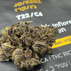 ג'וקרז - JoKerz אינדיקה T22C4 טוגדר TOGETHER טריכום TRICHOME אינדור פנופארם קנאביס פרח 2