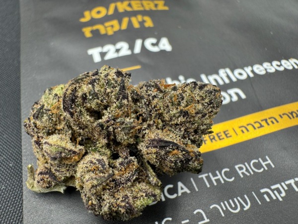 ג'וקרז - JoKerz אינדיקה T22C4 טוגדר TOGETHER טריכום TRICHOME אינדור פנופארם קנאביס פרח 2